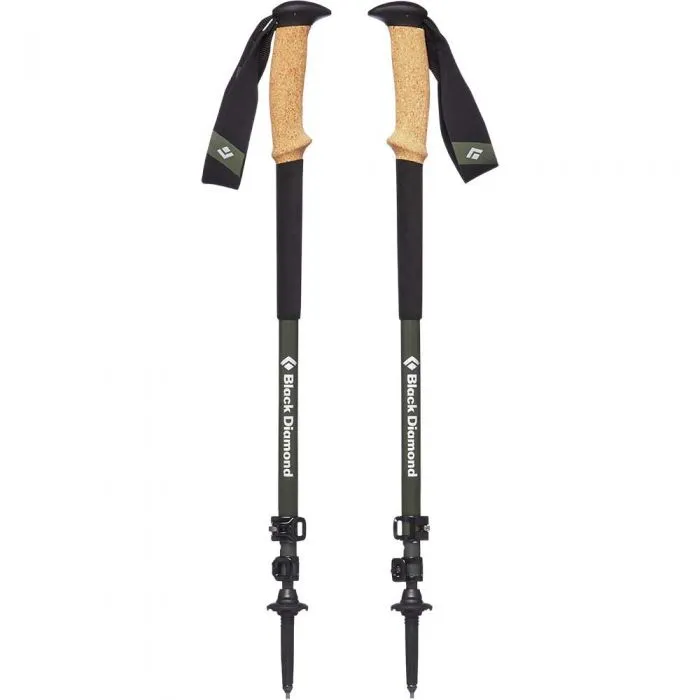 Alpine Carbon Cork Poles