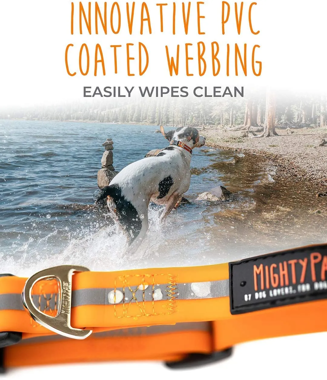 Durable and Reflective Waterproof Dog Collar