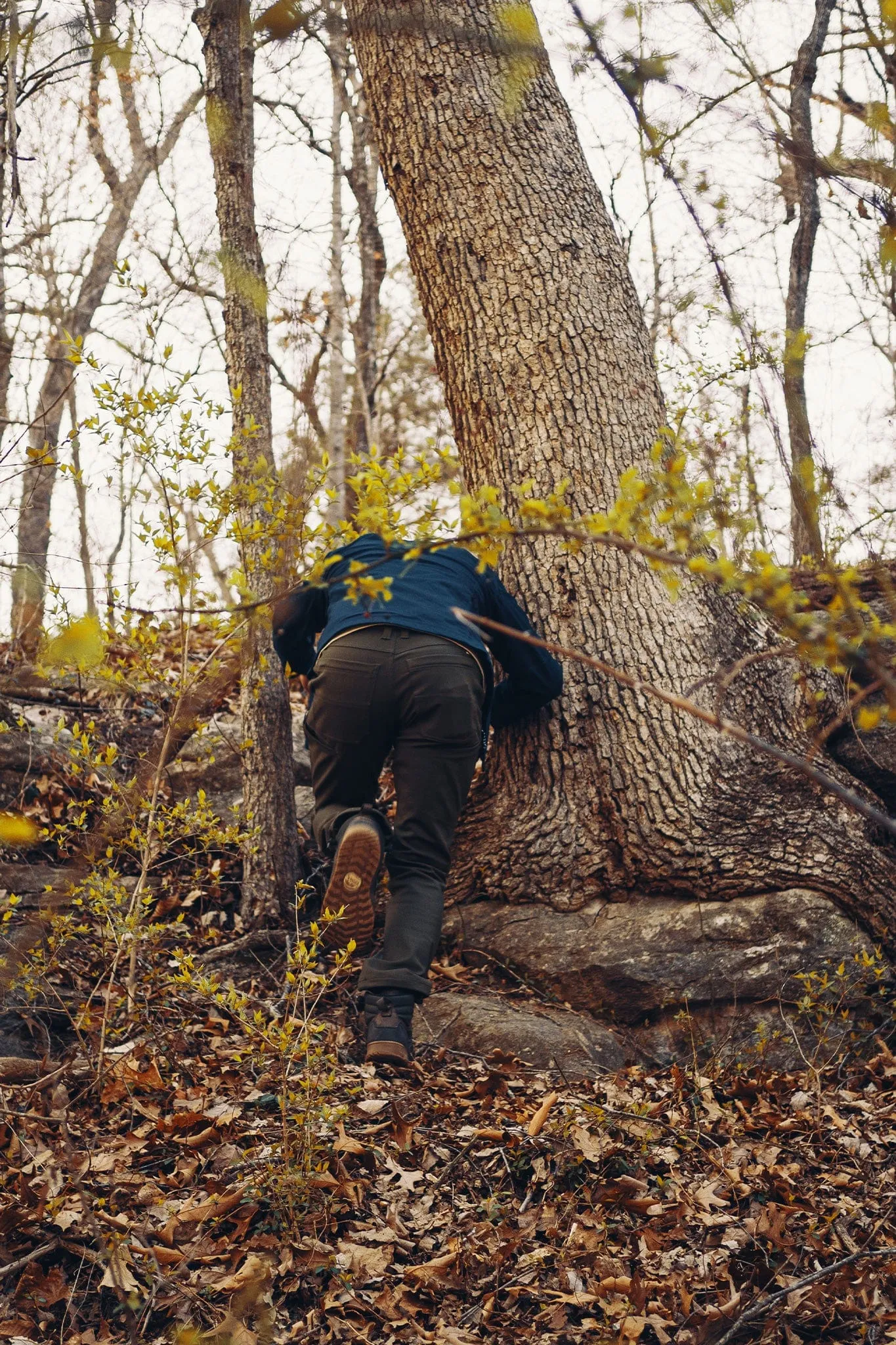 Karst Trekking Pant